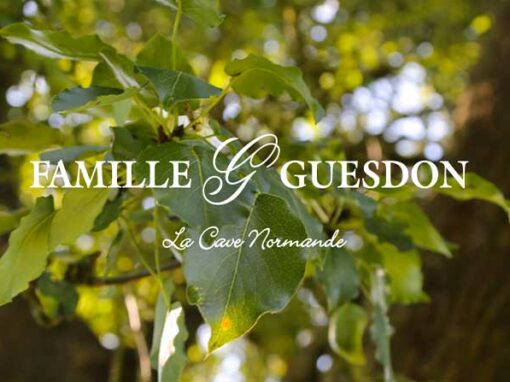 Site Vitrine Famille Guesdon